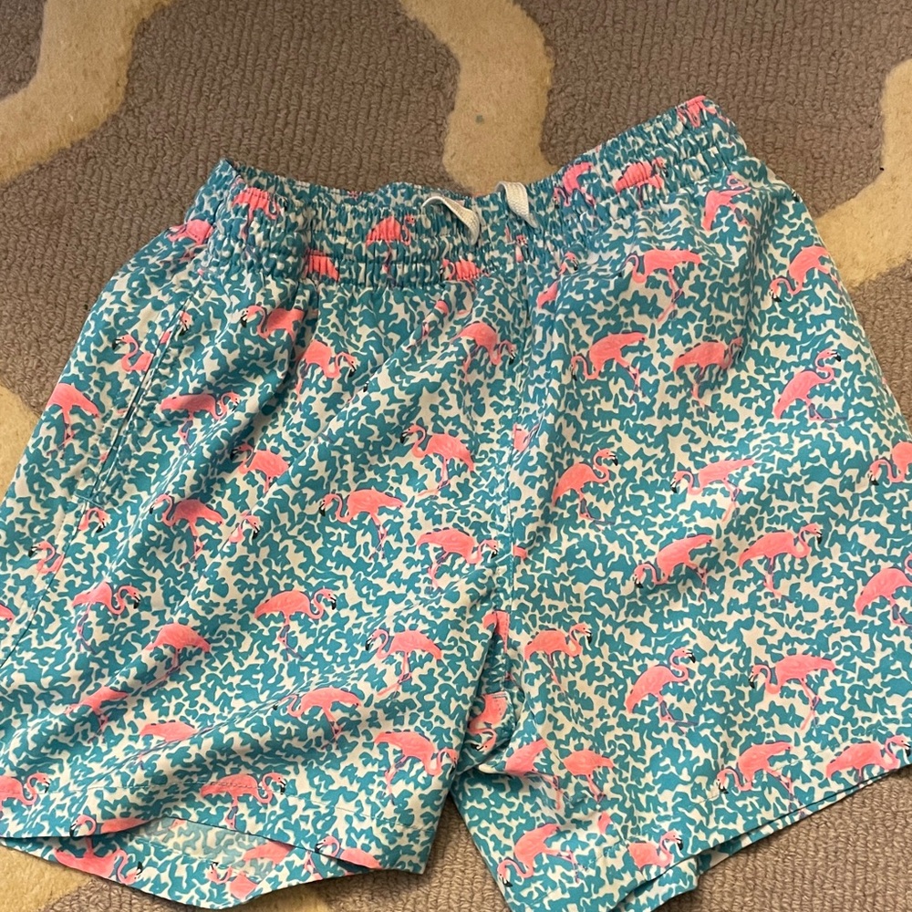 Chubbies swim trunks